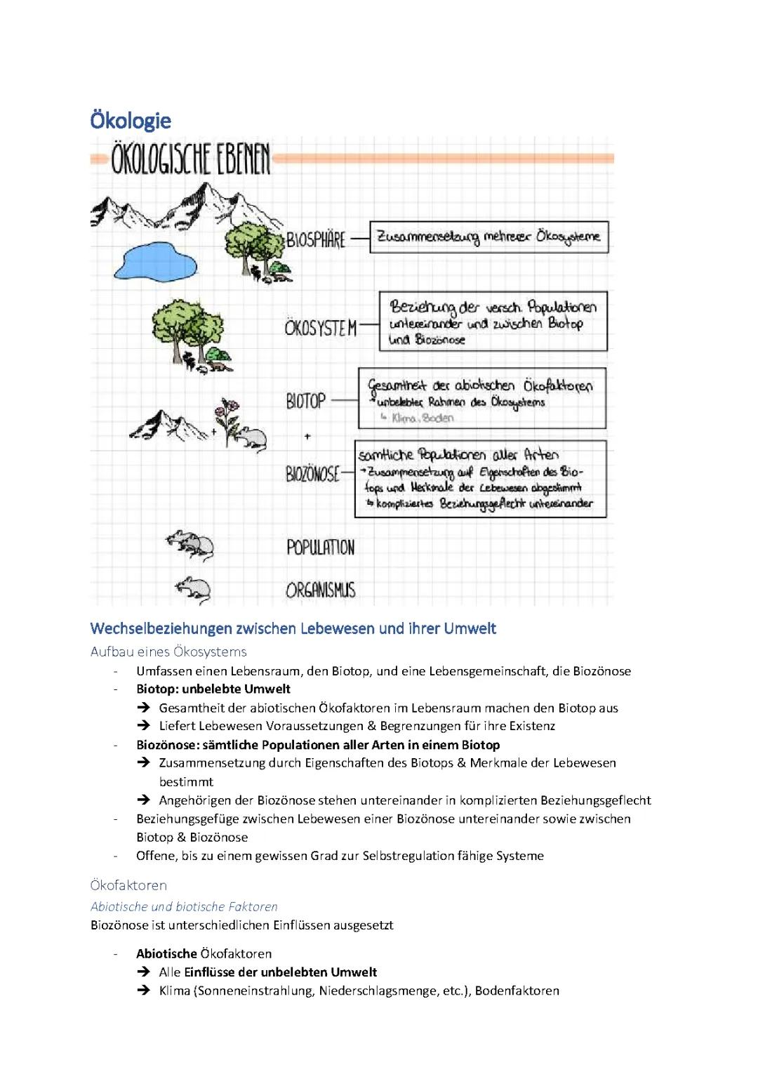 Abiotische und biotische Faktoren: Beispiele und einfache Erklärungen