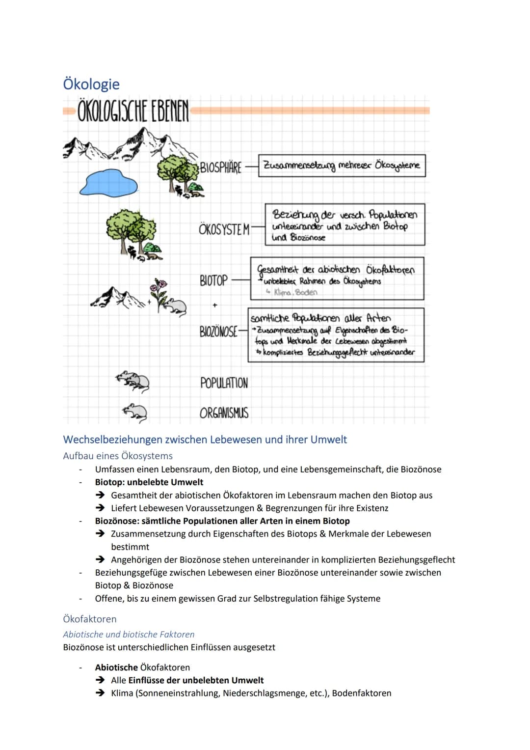 Ökologie
ÖKOLOGISCHE EBENEN
BIOSPHÄRE
OKOSYSTEM-
ВІОТОР
+
Zusammensetzung mehrerer Ökosysteme
Beziehung der versch. Populationen
untereinand