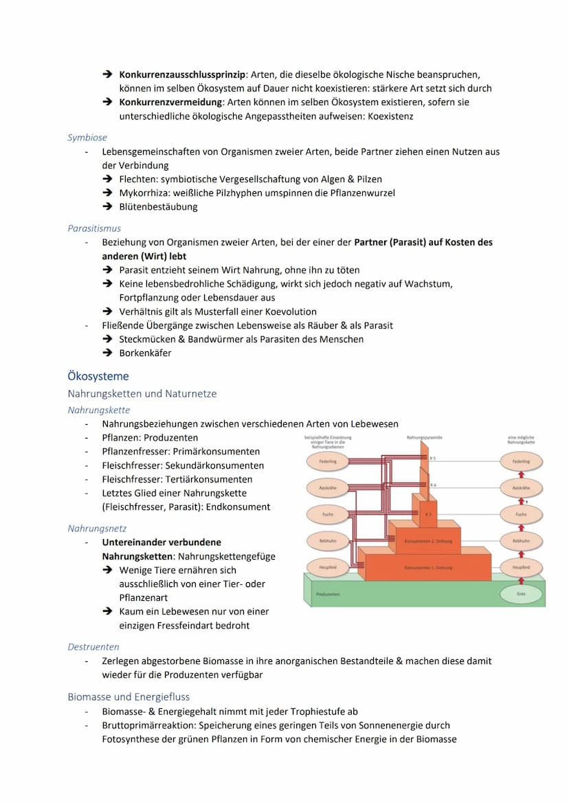 Ökologie
ÖKOLOGISCHE EBENEN
BIOSPHÄRE
OKOSYSTEM-
ВІОТОР
+
Zusammensetzung mehrerer Ökosysteme
Beziehung der versch. Populationen
untereinand