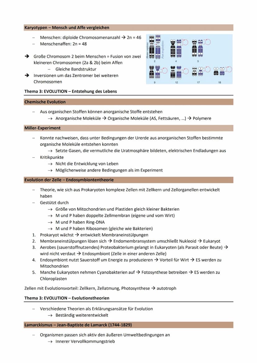 Thema 3: EVOLUTION - Grundlagen der Evolutionstheorie
Genetische Merkmale einer Population ändern sich über Generationen
Gemeinsamer Ursprun