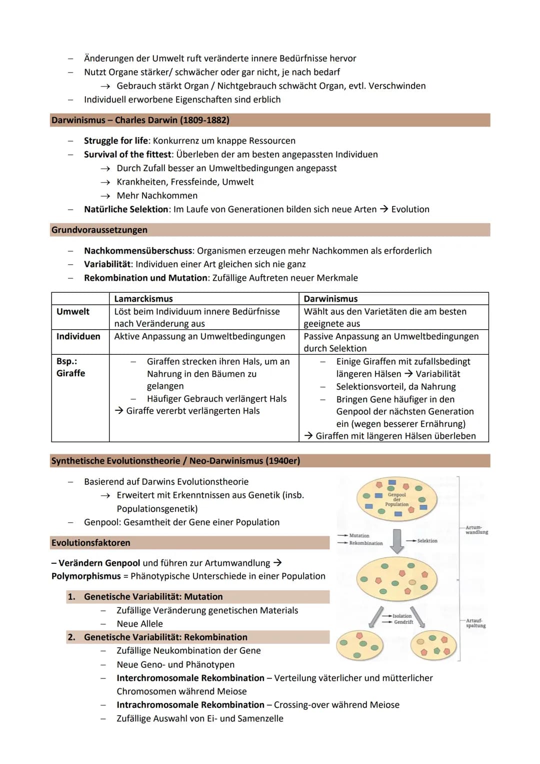 Thema 3: EVOLUTION - Grundlagen der Evolutionstheorie
Genetische Merkmale einer Population ändern sich über Generationen
Gemeinsamer Ursprun
