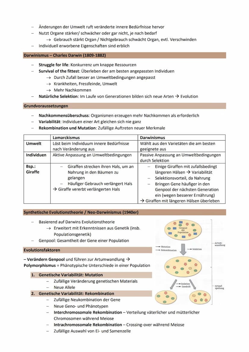 Thema 3: EVOLUTION - Grundlagen der Evolutionstheorie
Genetische Merkmale einer Population ändern sich über Generationen
Gemeinsamer Ursprun