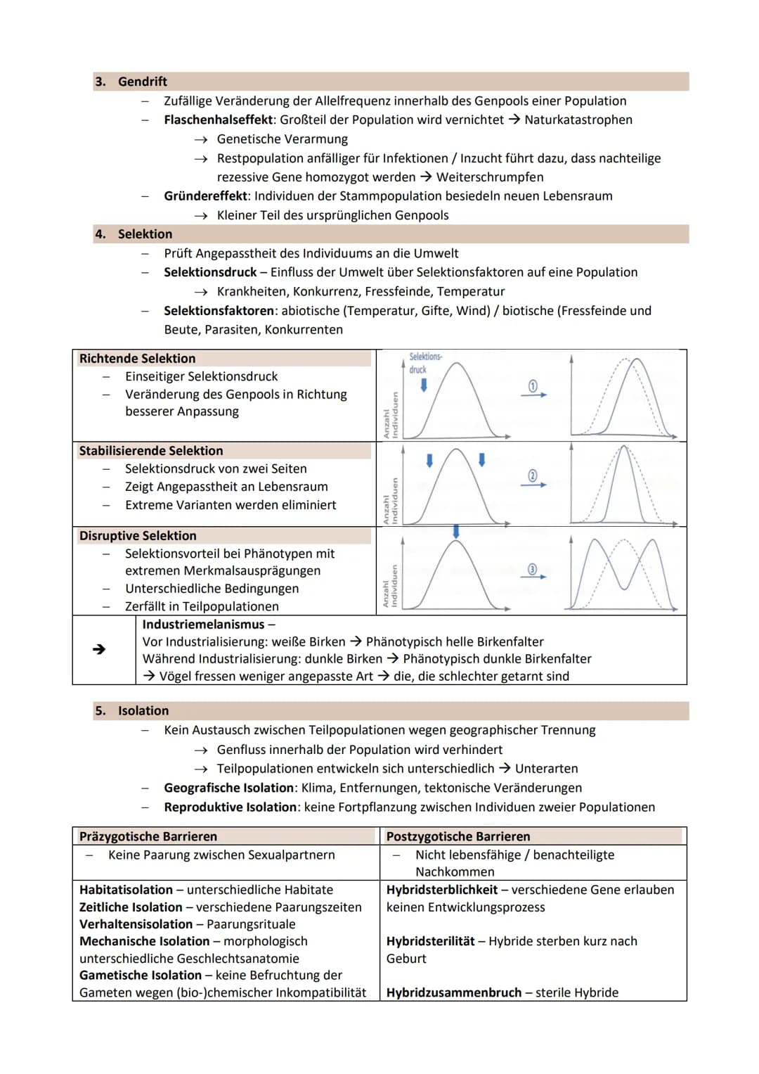 Thema 3: EVOLUTION - Grundlagen der Evolutionstheorie
Genetische Merkmale einer Population ändern sich über Generationen
Gemeinsamer Ursprun