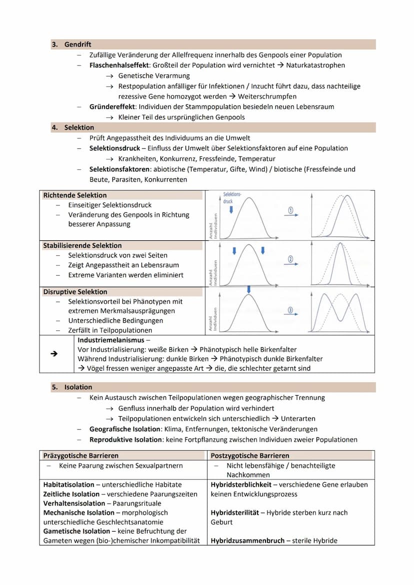 Thema 3: EVOLUTION - Grundlagen der Evolutionstheorie
Genetische Merkmale einer Population ändern sich über Generationen
Gemeinsamer Ursprun