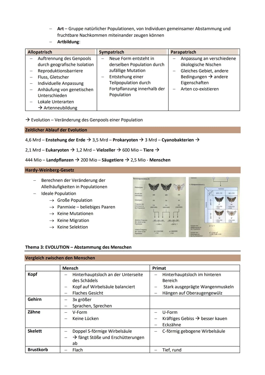 Thema 3: EVOLUTION - Grundlagen der Evolutionstheorie
Genetische Merkmale einer Population ändern sich über Generationen
Gemeinsamer Ursprun