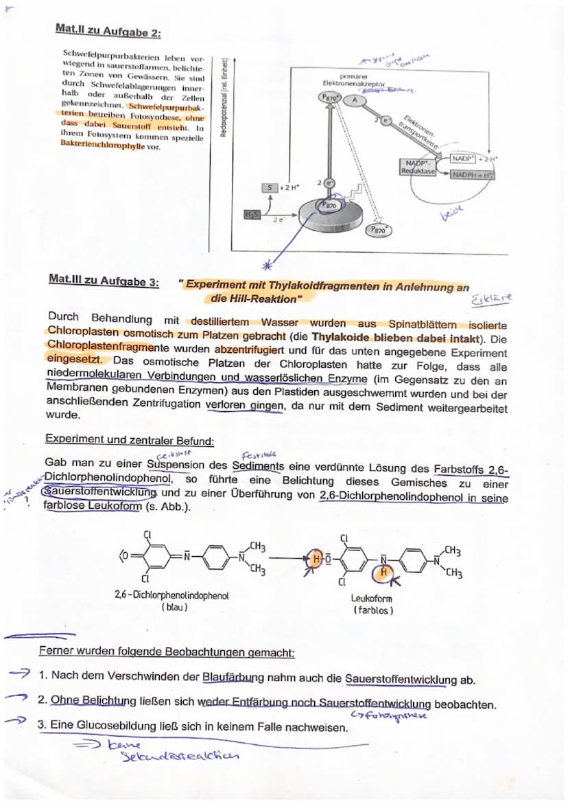 Thema: Fotosynthese
1. Algenwachstum in den Tiefen der Meere (s. Mat.I)
1.1
1.2
Beschreibe die Lichtverhältnisse in unterschiedlichen Meeres
