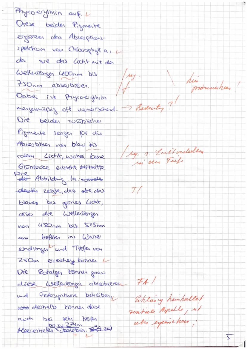 Thema: Fotosynthese
1. Algenwachstum in den Tiefen der Meere (s. Mat.I)
1.1
1.2
Beschreibe die Lichtverhältnisse in unterschiedlichen Meeres