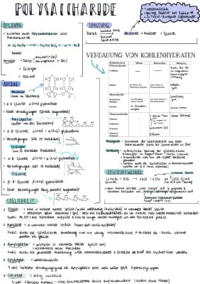 Know Polysaccharide  thumbnail