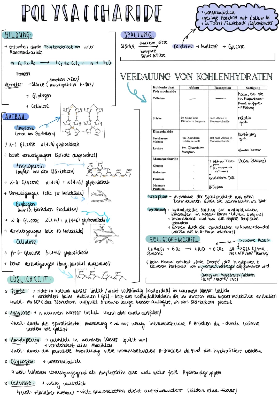 POLYSACCHARIDE
BILDUNG
→ entstehen durch Poly kondensation vieler
Monossacharide
n C6 H₁2 06 →→→→
Hexosen
AUFBAU
Amylose (~20%)
Vertreter →S