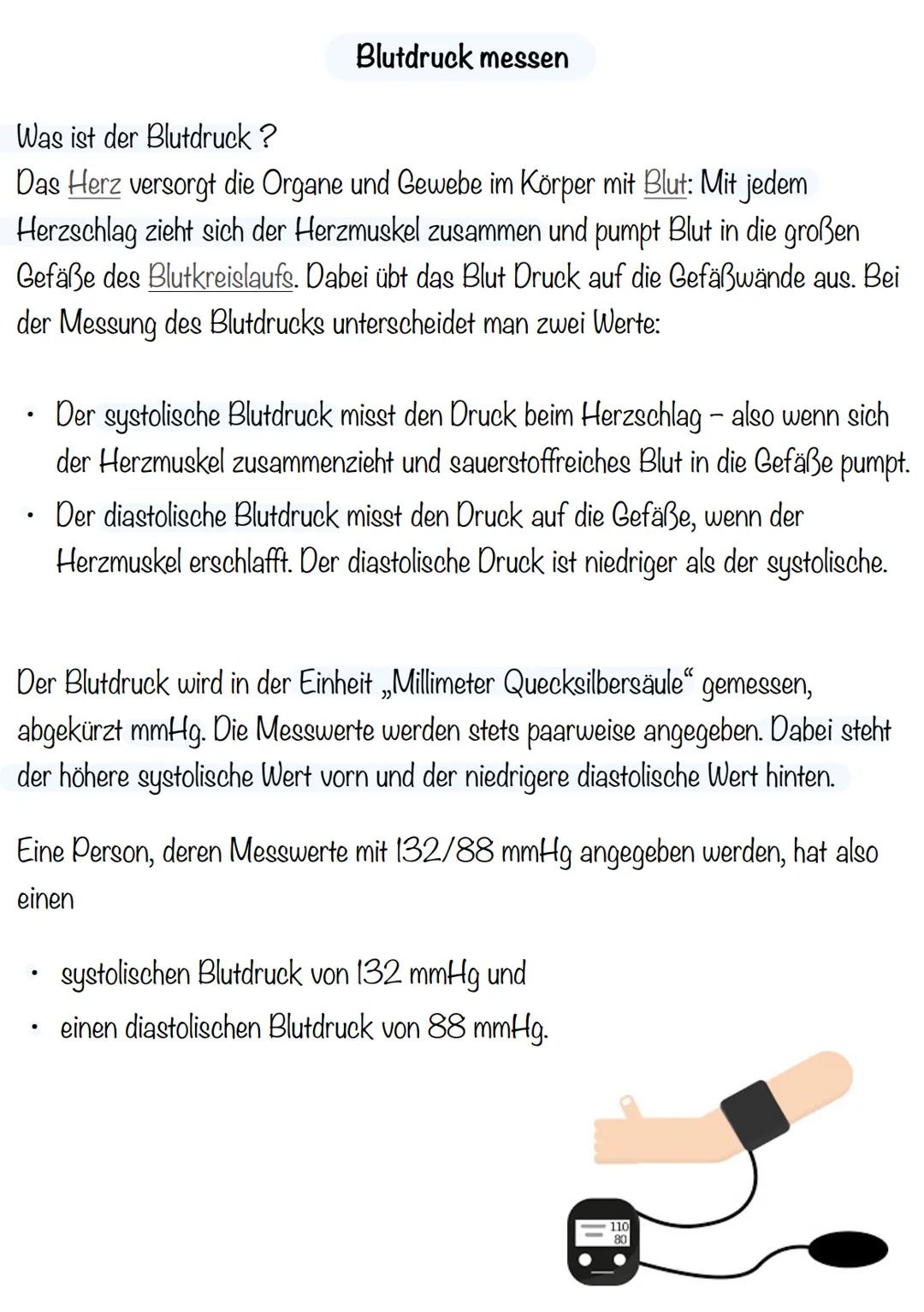 Blutdruck Blutdruck messen
Was ist der Blutdruck ?
Das Herz versorgt die Organe und Gewebe im Körper mit Blut: Mit jedem
Herzschlag zieht si