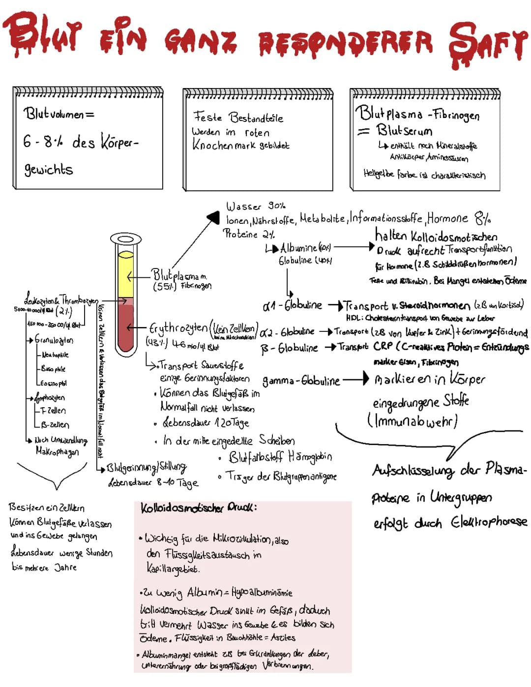 Abitur Gesundheit 2022 LPE10