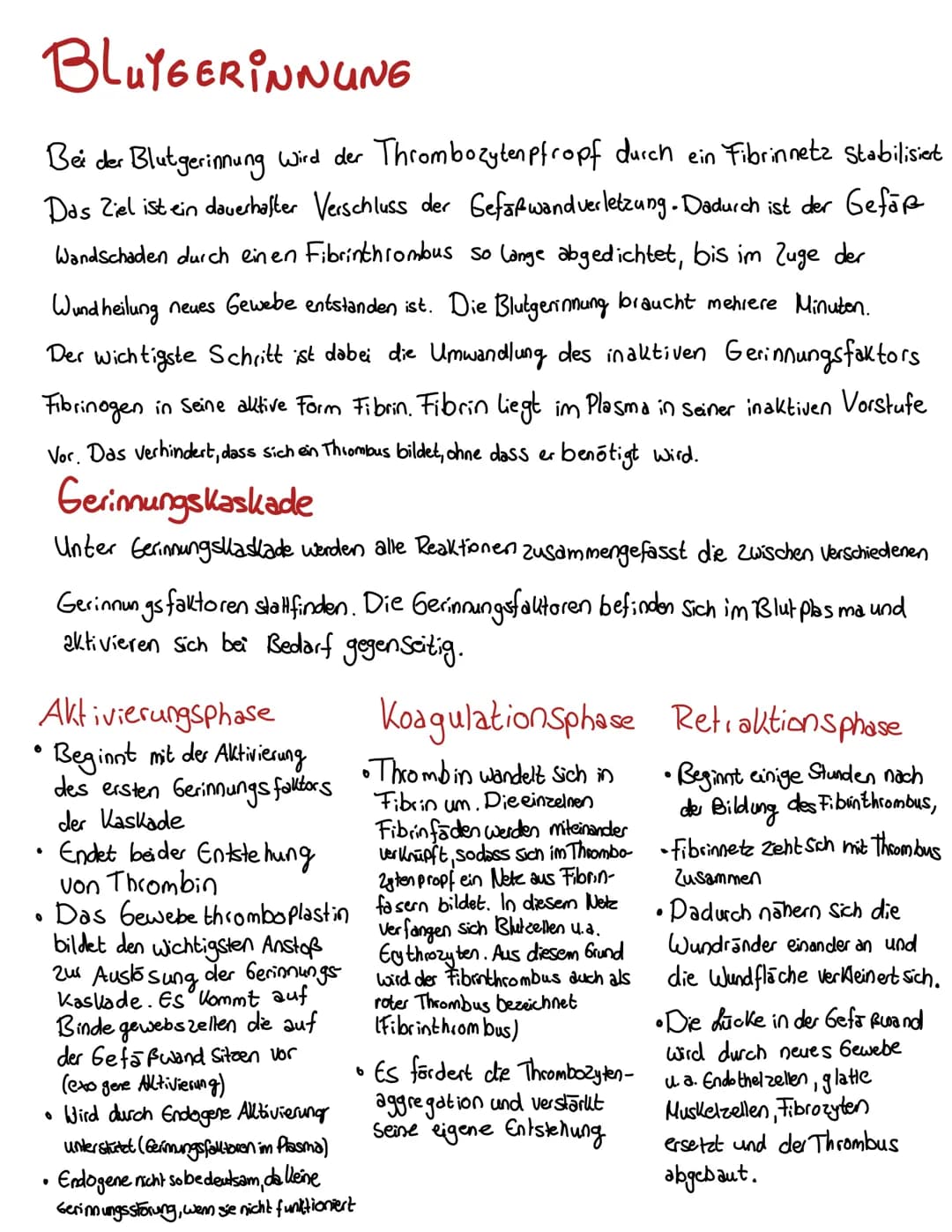Blut
BLUT EIN GANZ BESONDERER ŞAFT
Blut volumen =
6-8% des Körper-
gewichts
Leukozyten & Thrombozyten
5000-10000 B (21.)
150 000-35000/41 Bl