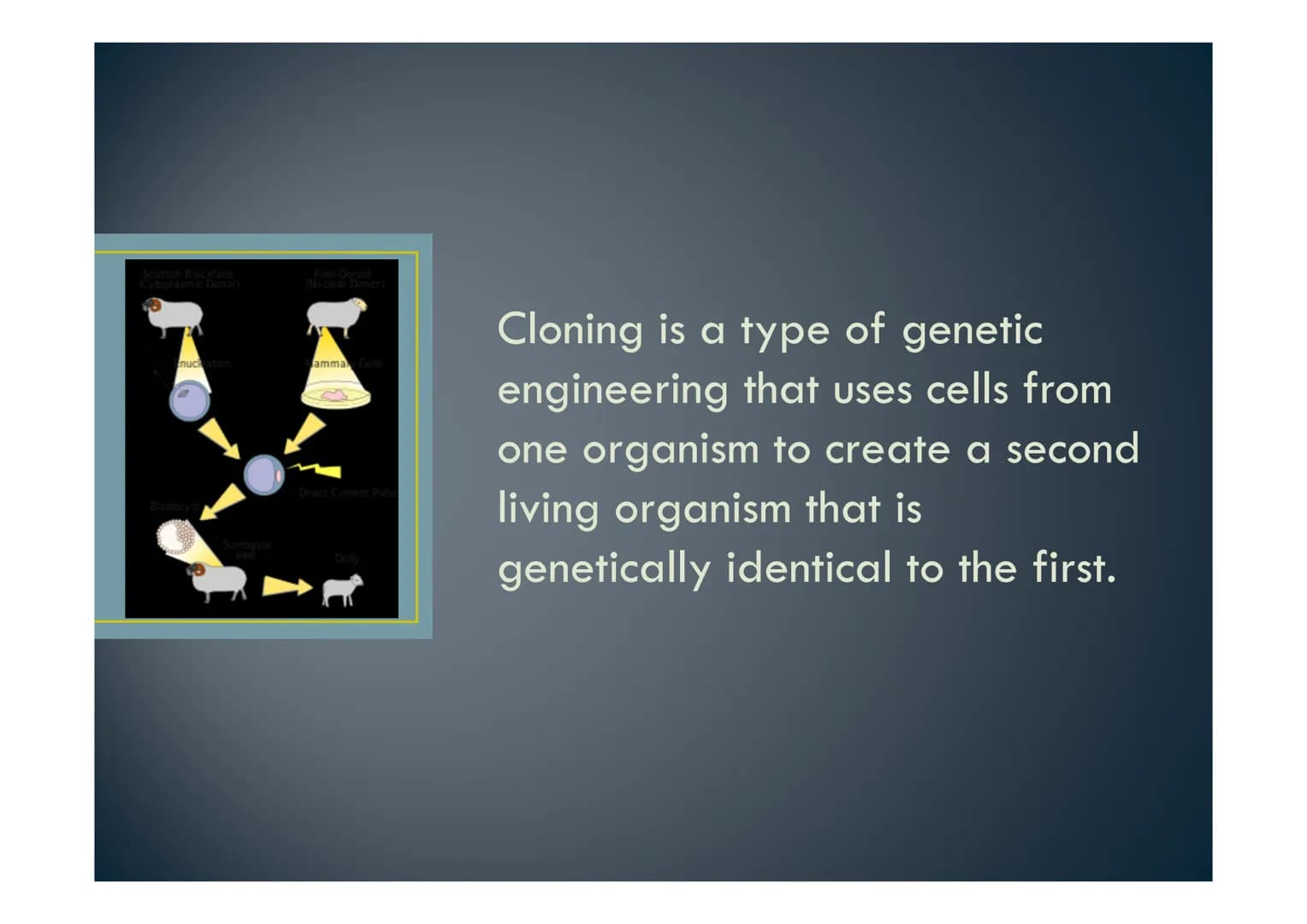 Cloning Scottish Blackfate
nuck tion
amma
Cloning is a type of genetic
engineering that uses cells from
one organism to create a second
livi