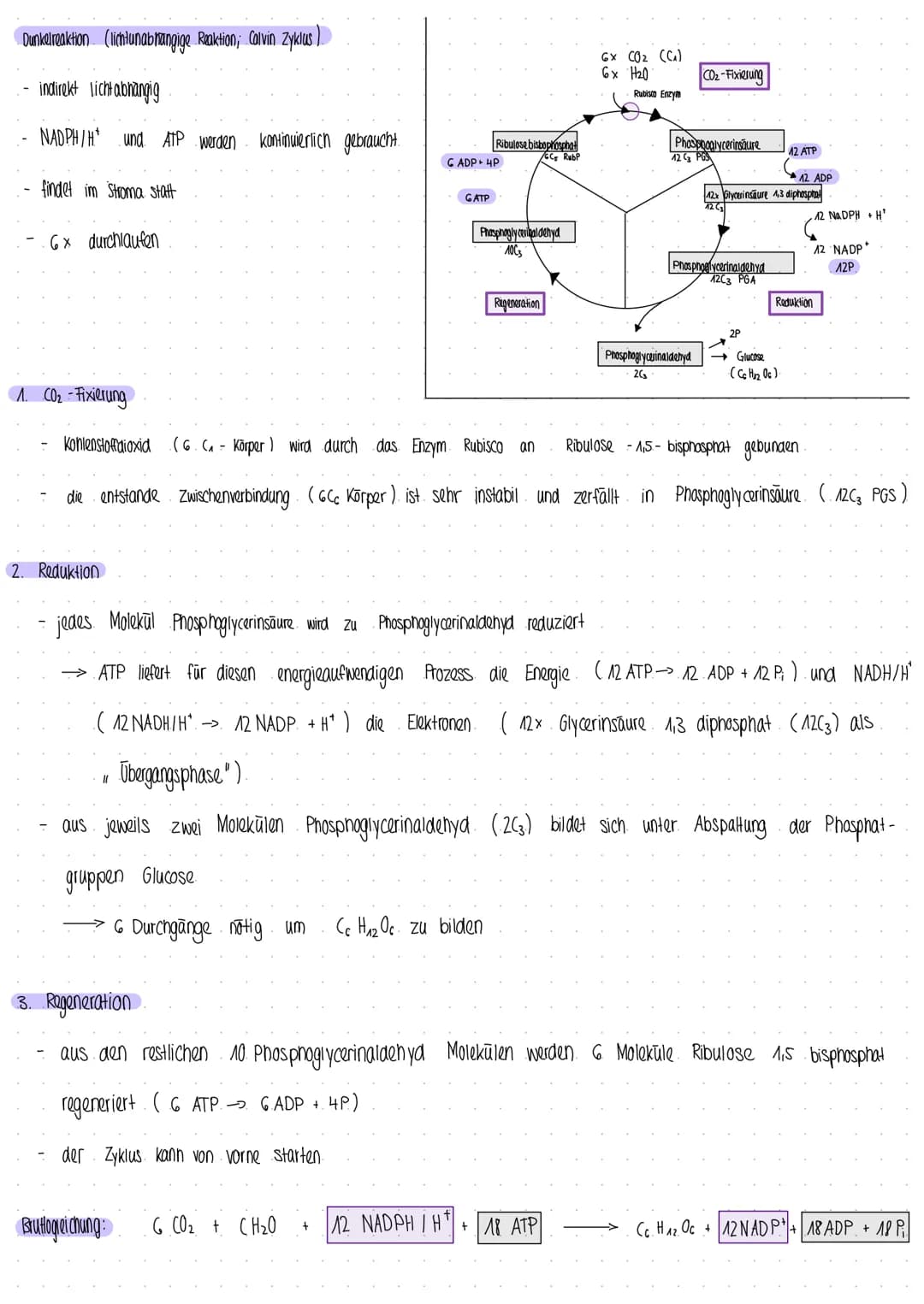 Photosynthese
Prozess, bei dem Pflanzen und manche Bakterien aus Energie CO₂ und H₂0, Kohlenhydrate und Glucose hergestellt wird
I
aus energ