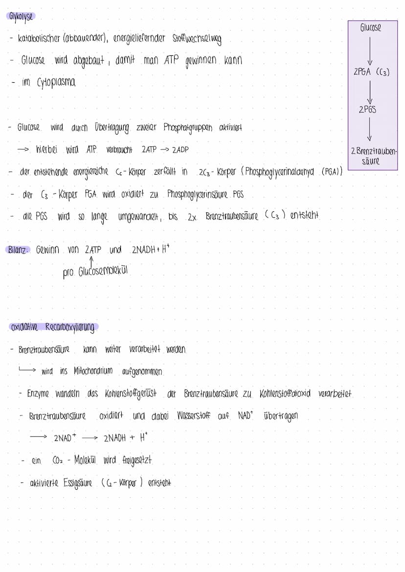 Photosynthese
Prozess, bei dem Pflanzen und manche Bakterien aus Energie CO₂ und H₂0, Kohlenhydrate und Glucose hergestellt wird
I
aus energ