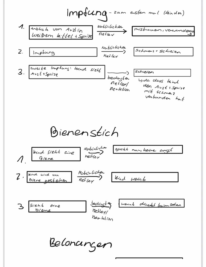 Päda: Lerntheorien
Klassische Konditionierung und Gegenkonditionierung
BIMMEL!
TAZ
-
BIMMEL!
BIMMEL!
ARBEITSAUFTRAG
Die Bilderfolge zeigt, w