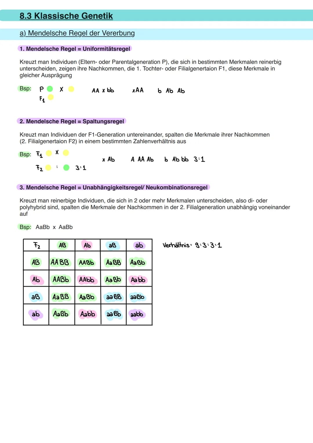 8.1 Allgemeine Informationen
a) DNA Aufbau
Doppelhelix aus Einzelbaustein
Nukleotid.
Primidin-Basen.
(Einfachring)
Ribose
Phosphogruppe
Orga