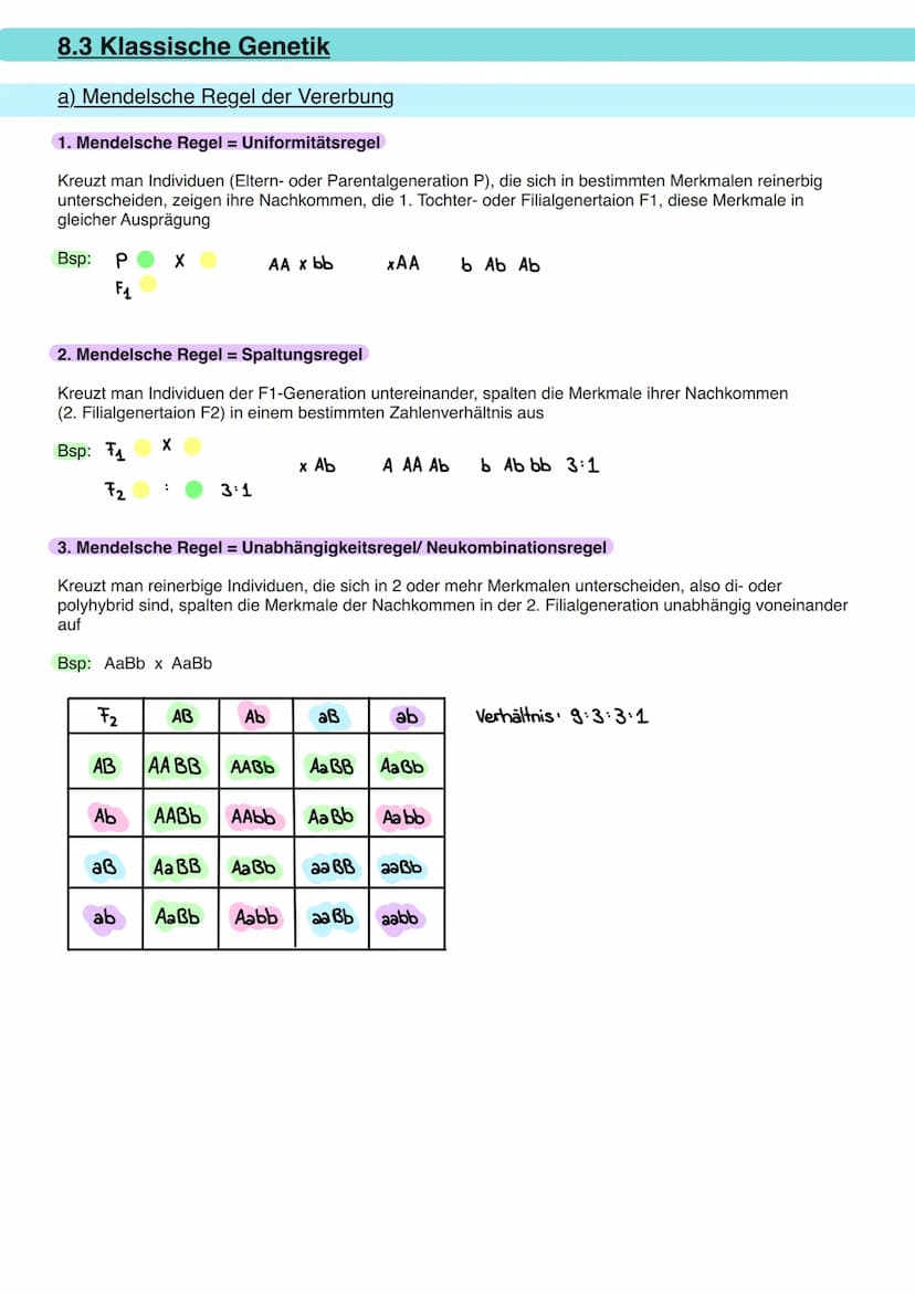 8.1 Allgemeine Informationen
a) DNA Aufbau
Doppelhelix aus Einzelbaustein
Nukleotid.
Primidin-Basen.
(Einfachring)
Ribose
Phosphogruppe
Orga