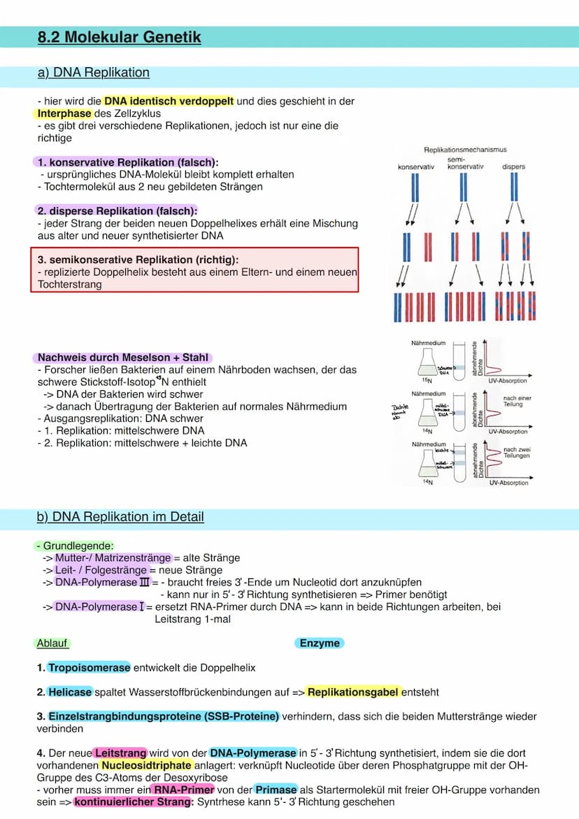 8.1 Allgemeine Informationen
a) DNA Aufbau
Doppelhelix aus Einzelbaustein
Nukleotid.
Primidin-Basen.
(Einfachring)
Ribose
Phosphogruppe
Orga