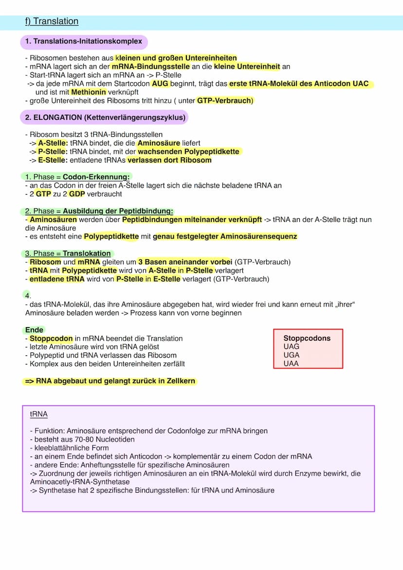 8.1 Allgemeine Informationen
a) DNA Aufbau
Doppelhelix aus Einzelbaustein
Nukleotid.
Primidin-Basen.
(Einfachring)
Ribose
Phosphogruppe
Orga