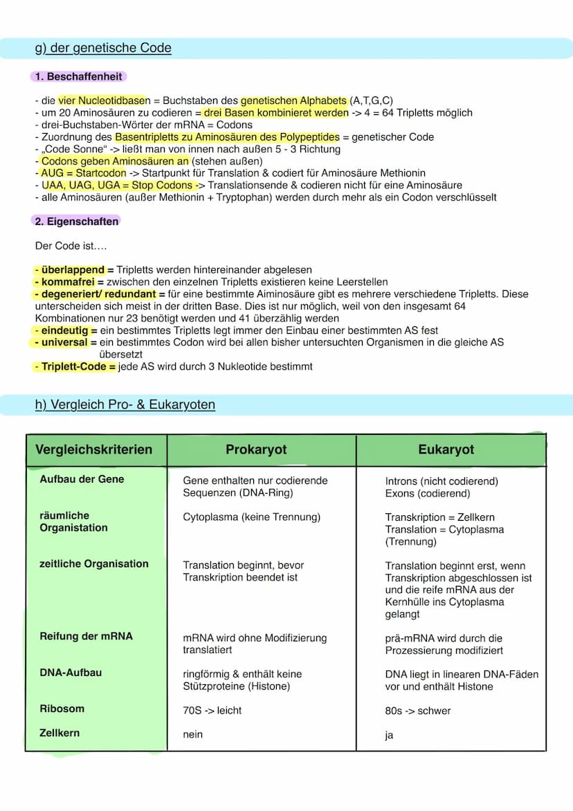 8.1 Allgemeine Informationen
a) DNA Aufbau
Doppelhelix aus Einzelbaustein
Nukleotid.
Primidin-Basen.
(Einfachring)
Ribose
Phosphogruppe
Orga