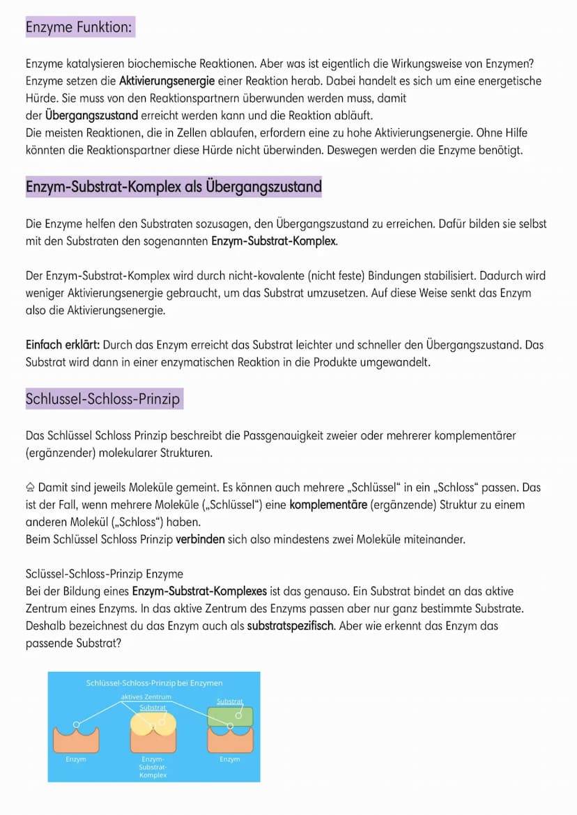 Enzymatik
●
Induced-Fit-Modell:
Coenzym
Cofaktor
(Schlussel-Schlos-Prinzip):
●
Enzyme
●
Sind Biokatalysatoren.
Sind
Wirkung/reaktion-spezifi