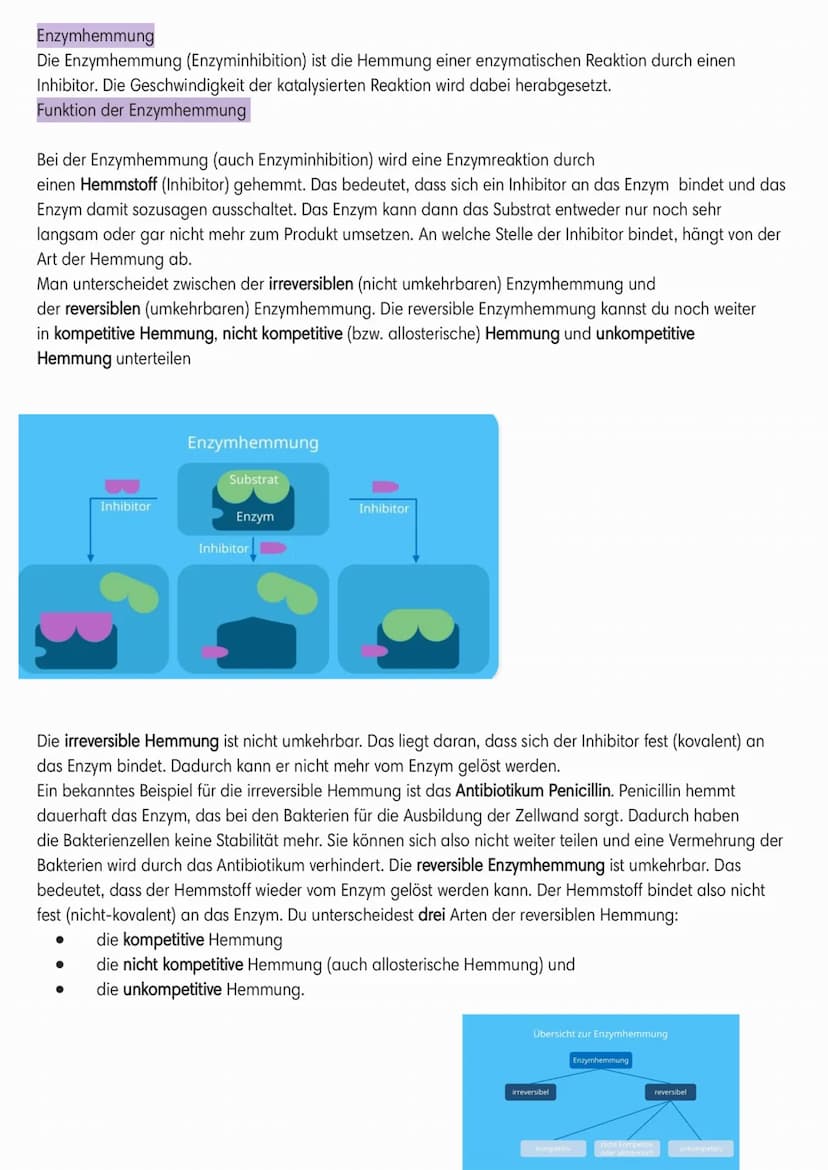 Enzymatik
●
Induced-Fit-Modell:
Coenzym
Cofaktor
(Schlussel-Schlos-Prinzip):
●
Enzyme
●
Sind Biokatalysatoren.
Sind
Wirkung/reaktion-spezifi