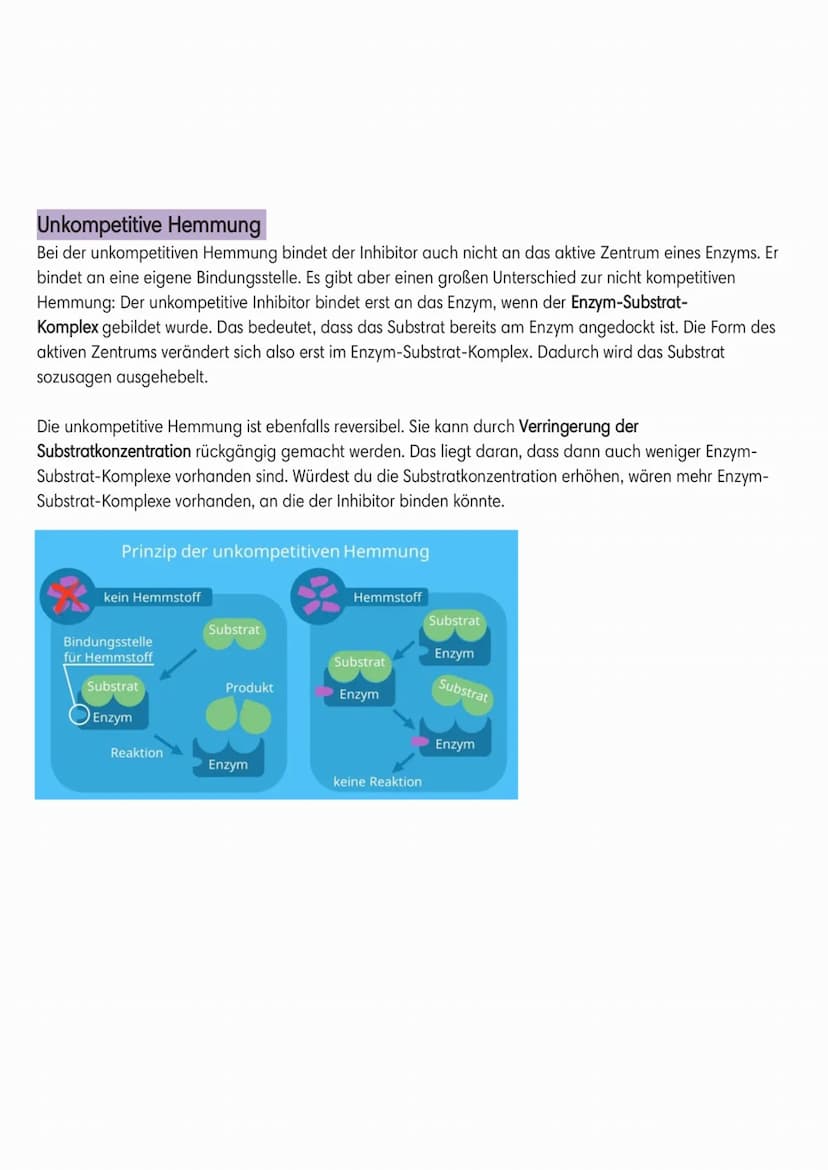 Enzymatik
●
Induced-Fit-Modell:
Coenzym
Cofaktor
(Schlussel-Schlos-Prinzip):
●
Enzyme
●
Sind Biokatalysatoren.
Sind
Wirkung/reaktion-spezifi