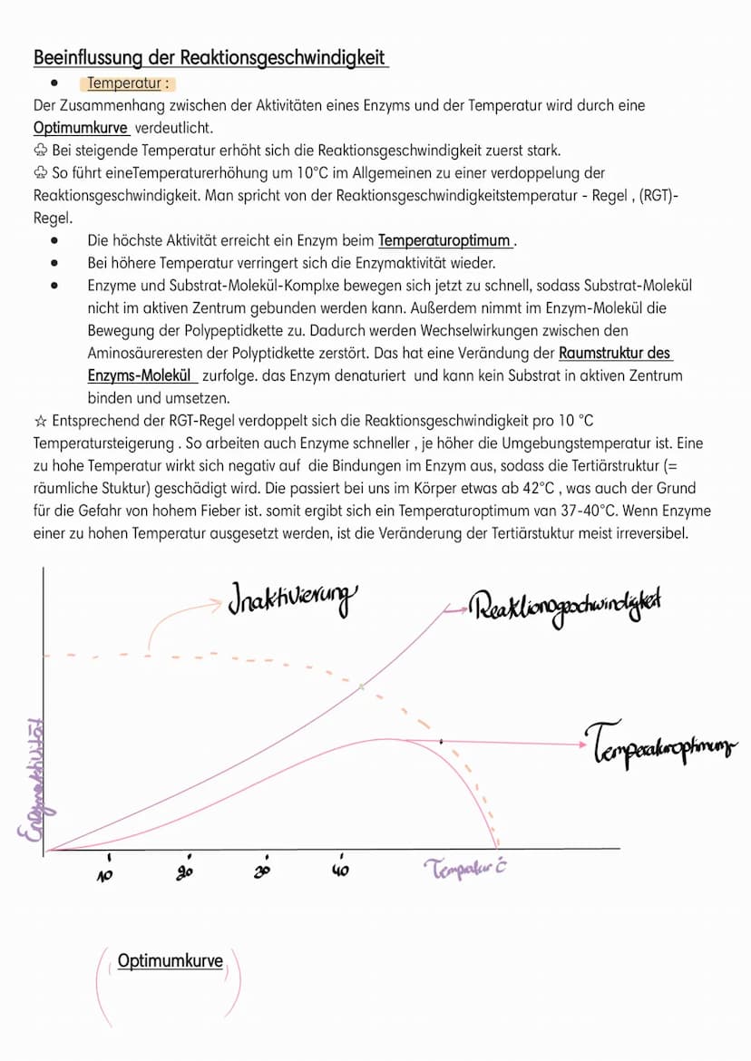 Enzymatik
●
Induced-Fit-Modell:
Coenzym
Cofaktor
(Schlussel-Schlos-Prinzip):
●
Enzyme
●
Sind Biokatalysatoren.
Sind
Wirkung/reaktion-spezifi