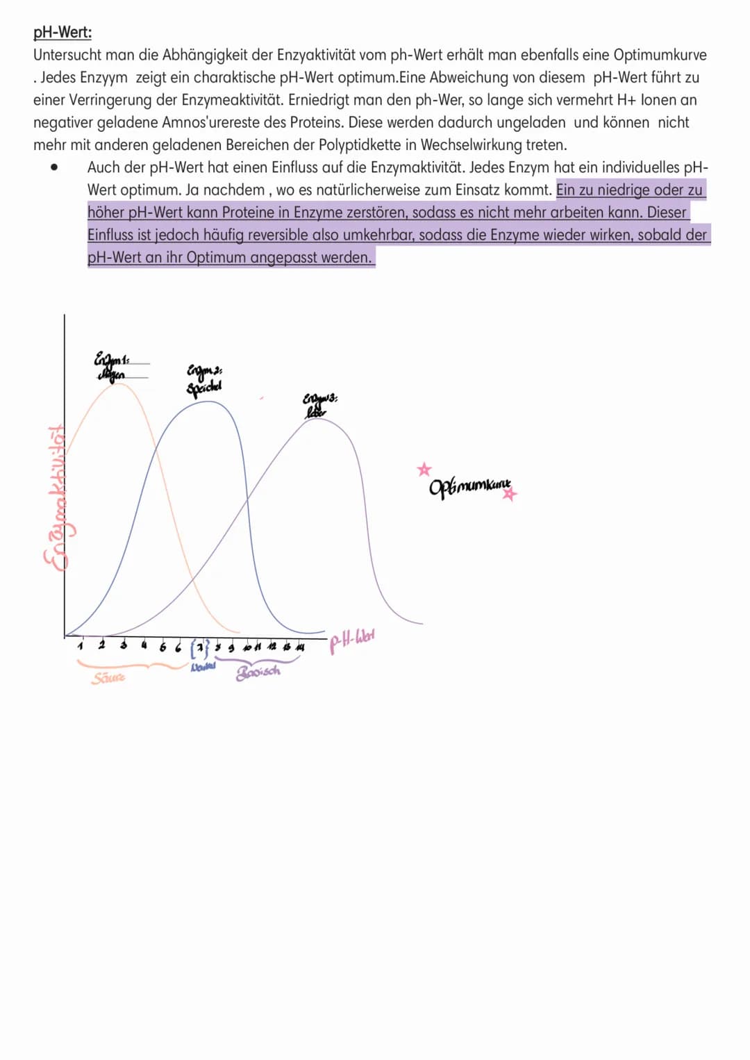 Enzymatik
●
Induced-Fit-Modell:
Coenzym
Cofaktor
(Schlussel-Schlos-Prinzip):
●
Enzyme
●
Sind Biokatalysatoren.
Sind
Wirkung/reaktion-spezifi