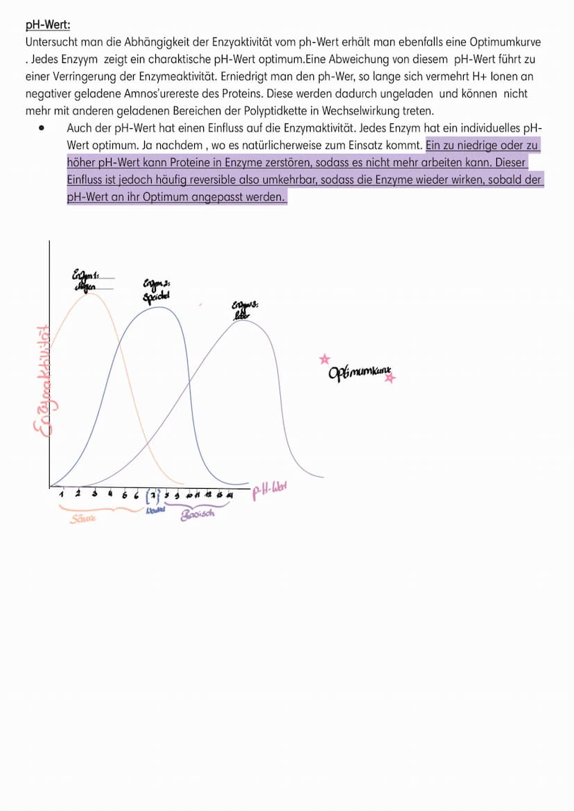 Enzymatik
●
Induced-Fit-Modell:
Coenzym
Cofaktor
(Schlussel-Schlos-Prinzip):
●
Enzyme
●
Sind Biokatalysatoren.
Sind
Wirkung/reaktion-spezifi