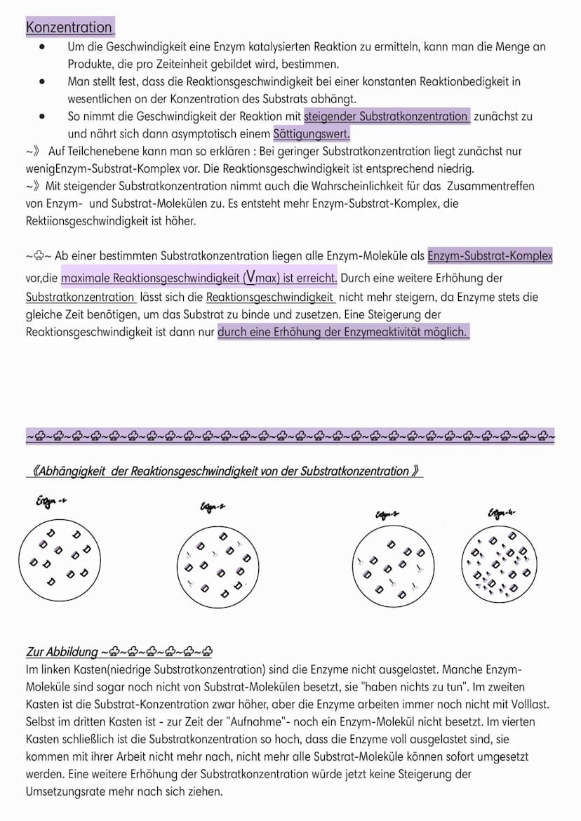 Enzymatik
●
Induced-Fit-Modell:
Coenzym
Cofaktor
(Schlussel-Schlos-Prinzip):
●
Enzyme
●
Sind Biokatalysatoren.
Sind
Wirkung/reaktion-spezifi