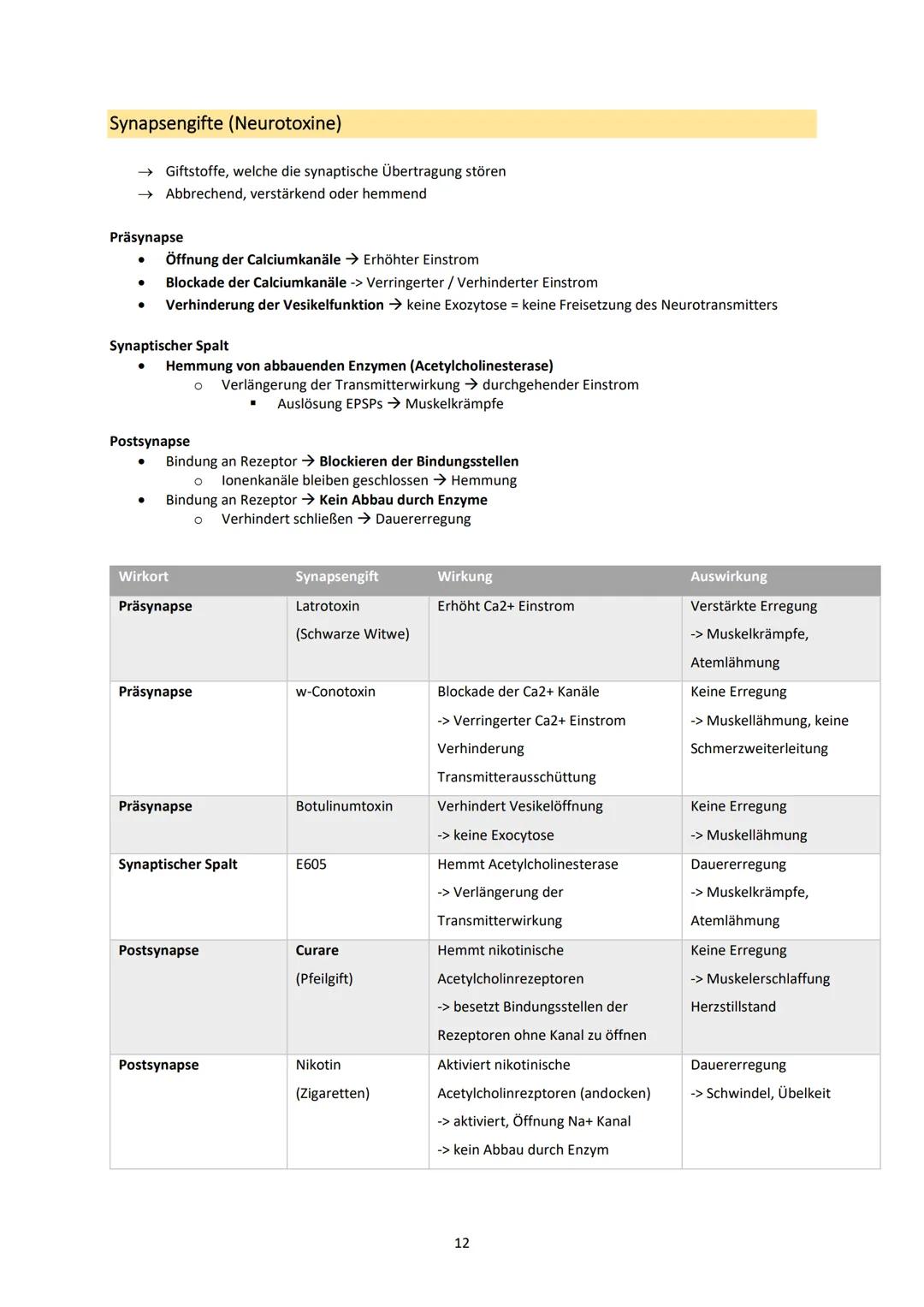 Neurobiologie
1. Bau und Funktion der Nervenzelle
Aufbau und Funktion von Neuronen
MS
Dendrit
-> Akzeptor
Zellkörper
(Soma)
Zellkern
Axonhüg