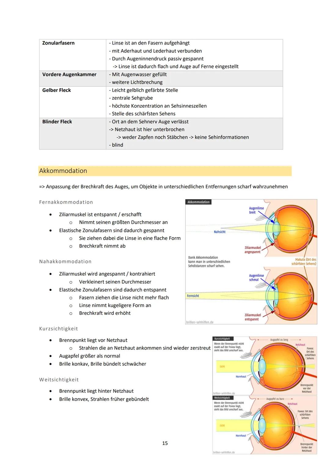 Neurobiologie
1. Bau und Funktion der Nervenzelle
Aufbau und Funktion von Neuronen
MS
Dendrit
-> Akzeptor
Zellkörper
(Soma)
Zellkern
Axonhüg