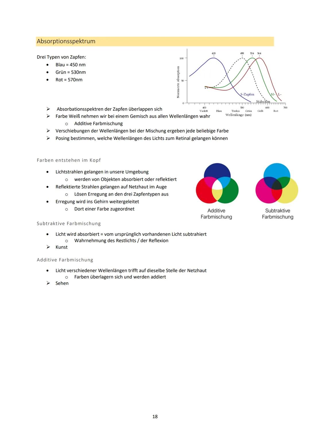 Neurobiologie
1. Bau und Funktion der Nervenzelle
Aufbau und Funktion von Neuronen
MS
Dendrit
-> Akzeptor
Zellkörper
(Soma)
Zellkern
Axonhüg