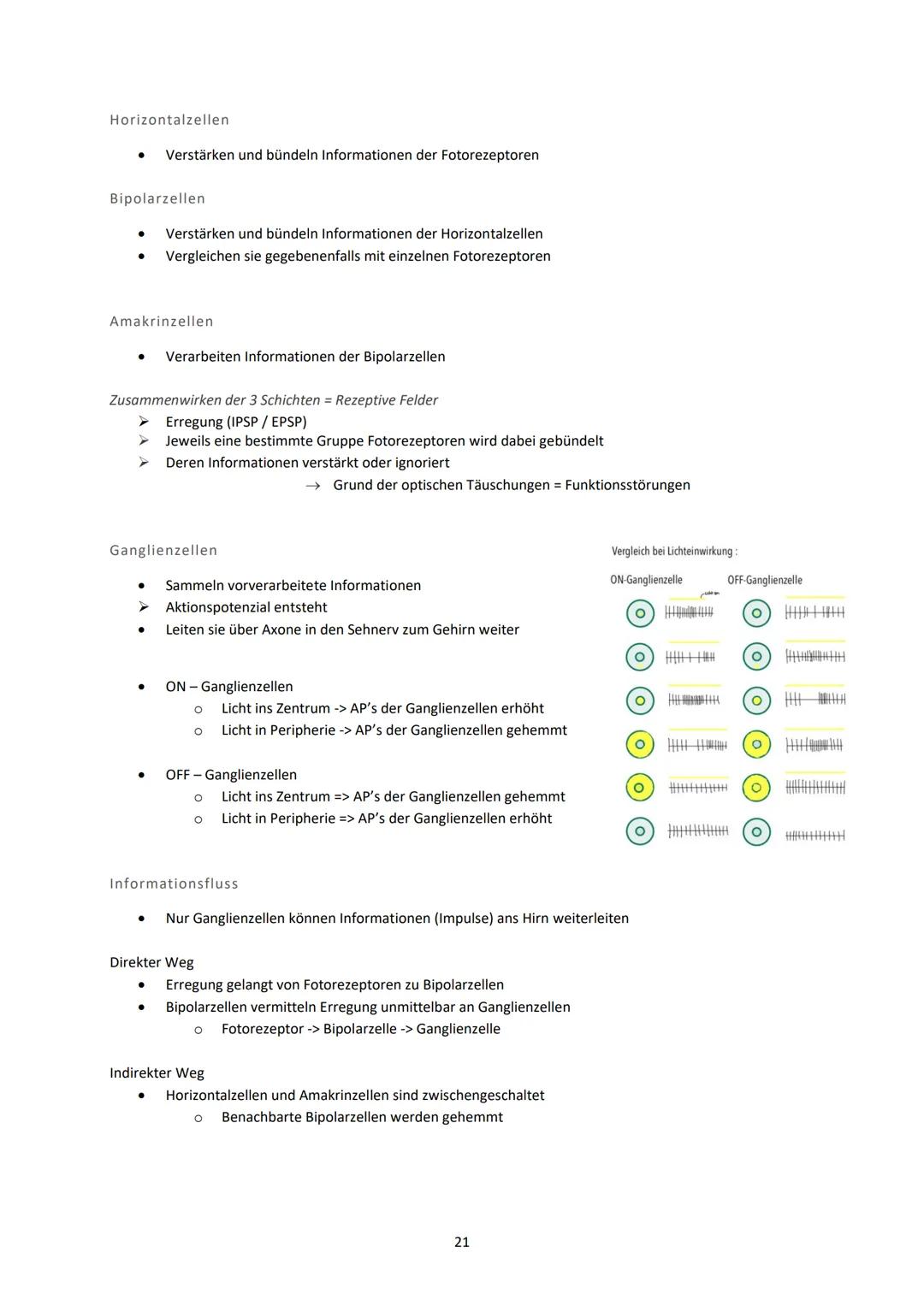 Neurobiologie
1. Bau und Funktion der Nervenzelle
Aufbau und Funktion von Neuronen
MS
Dendrit
-> Akzeptor
Zellkörper
(Soma)
Zellkern
Axonhüg