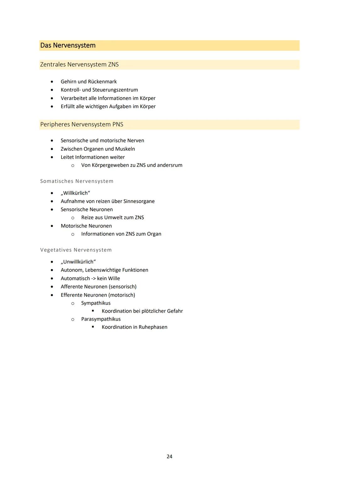 Neurobiologie
1. Bau und Funktion der Nervenzelle
Aufbau und Funktion von Neuronen
MS
Dendrit
-> Akzeptor
Zellkörper
(Soma)
Zellkern
Axonhüg