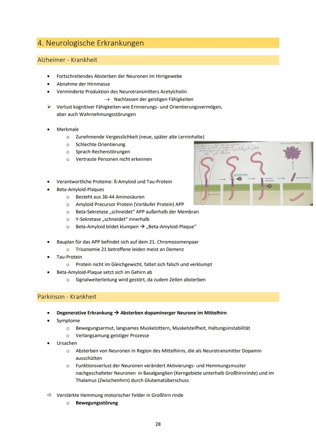 Neurobiologie
1. Bau und Funktion der Nervenzelle
Aufbau und Funktion von Neuronen
MS
Dendrit
-> Akzeptor
Zellkörper
(Soma)
Zellkern
Axonhüg