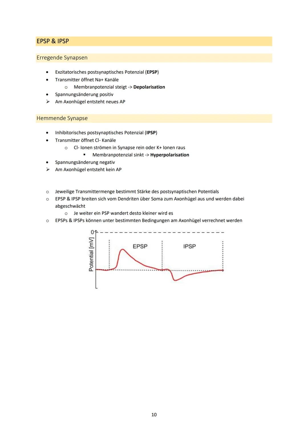 Neurobiologie
1. Bau und Funktion der Nervenzelle
Aufbau und Funktion von Neuronen
MS
Dendrit
-> Akzeptor
Zellkörper
(Soma)
Zellkern
Axonhüg