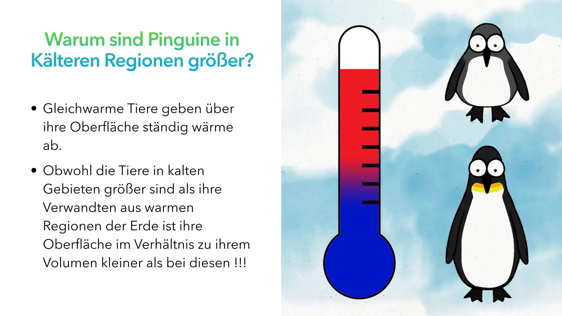 Klimaregeln Agenda
• Begriff ,,Klimaregel"
• Bergmannsche Regel
• Warum sind Pinguine in Kälteren Regionen größer?
• Schaubild Bergmannsche 