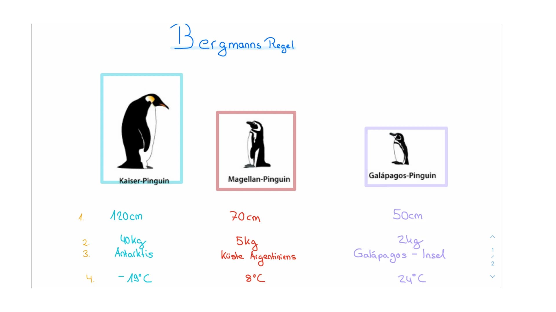 Klimaregeln Agenda
• Begriff ,,Klimaregel"
• Bergmannsche Regel
• Warum sind Pinguine in Kälteren Regionen größer?
• Schaubild Bergmannsche 