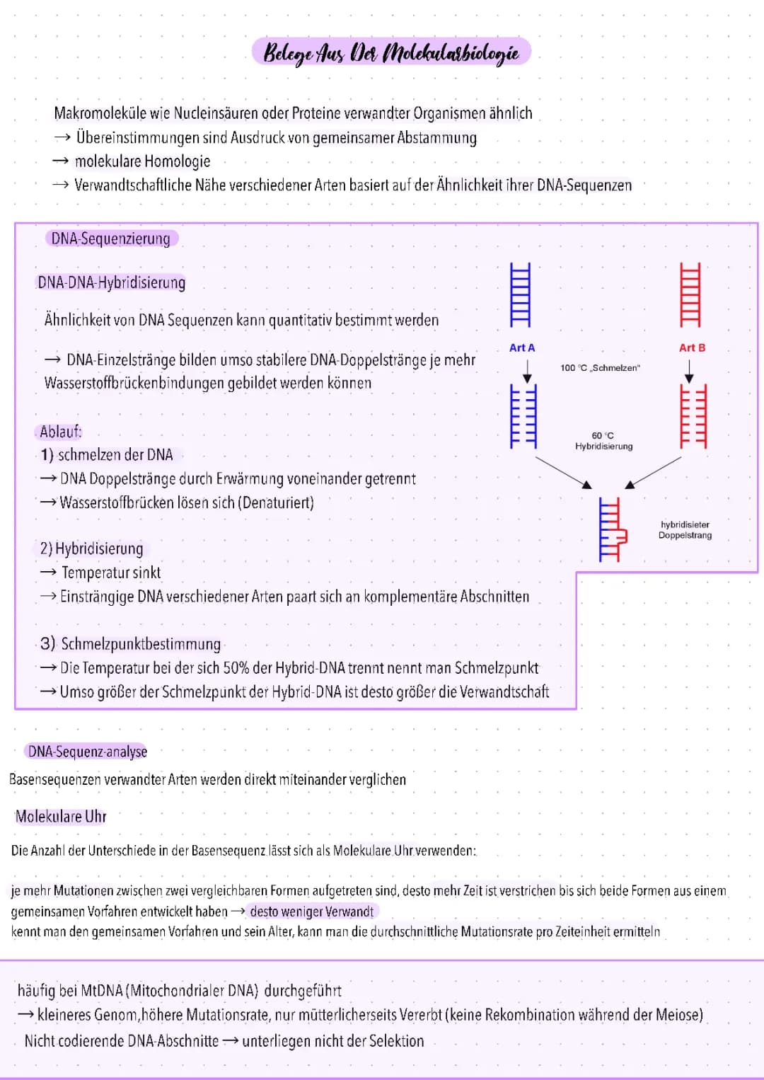Belege aus der Molekularbiologie