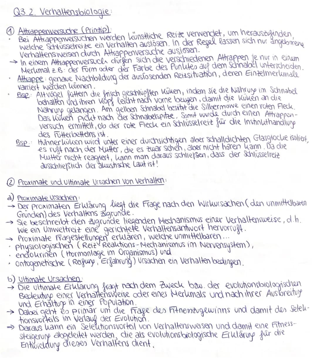 Q3 2. Verhaltensbiologie:
Attrappenversuche (Prinzip):
Bei Attrappenversuchen werden künstliche Reize verwendet, um herauszufinden,
welche S