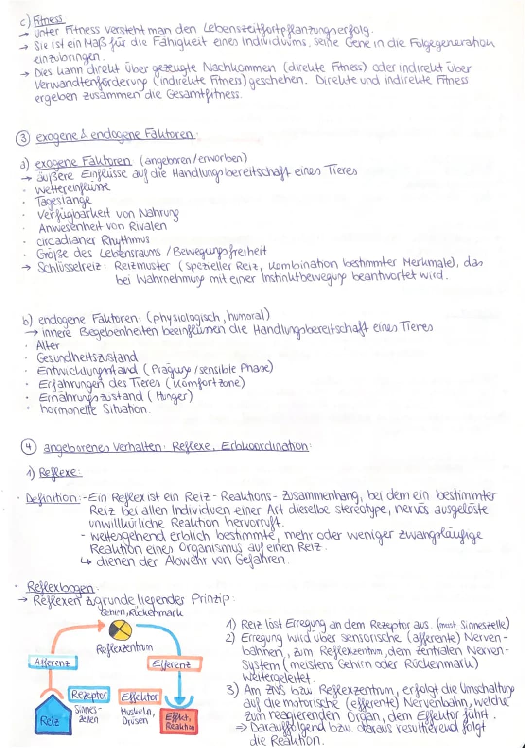Q3 2. Verhaltensbiologie:
Attrappenversuche (Prinzip):
Bei Attrappenversuchen werden künstliche Reize verwendet, um herauszufinden,
welche S