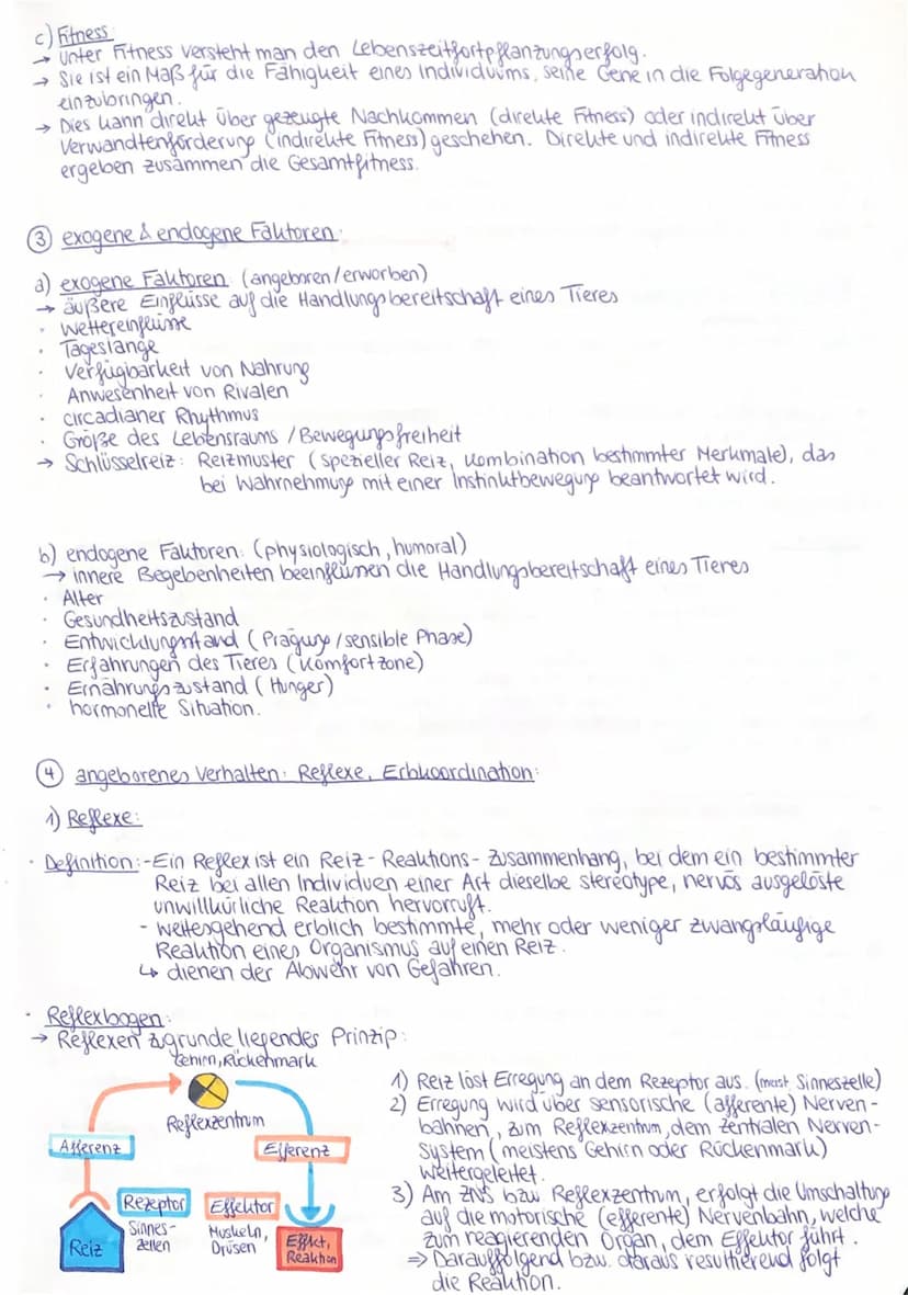 Q3 2. Verhaltensbiologie:
Attrappenversuche (Prinzip):
Bei Attrappenversuchen werden künstliche Reize verwendet, um herauszufinden,
welche S