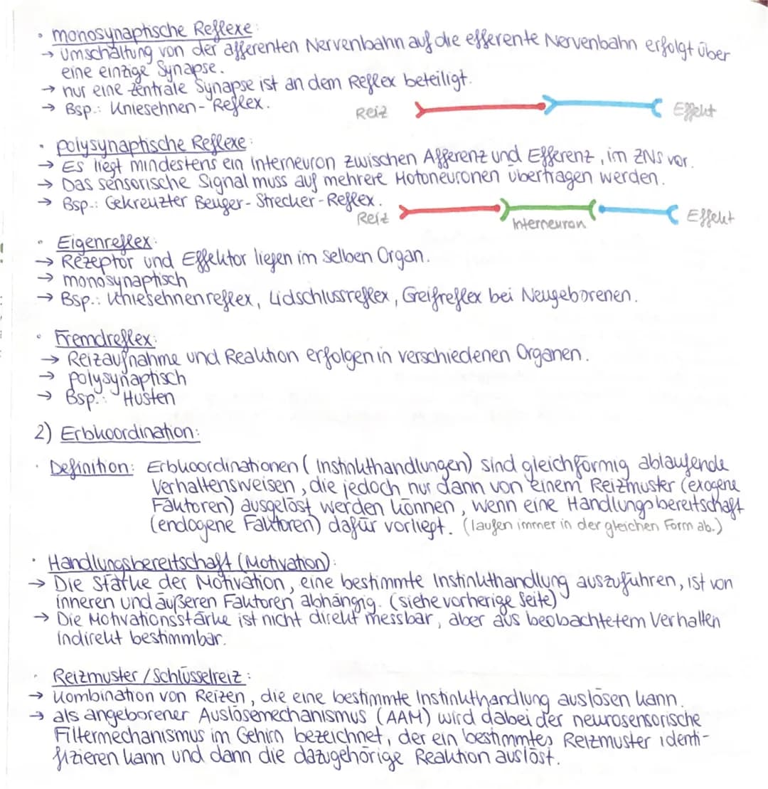 Q3 2. Verhaltensbiologie:
Attrappenversuche (Prinzip):
Bei Attrappenversuchen werden künstliche Reize verwendet, um herauszufinden,
welche S