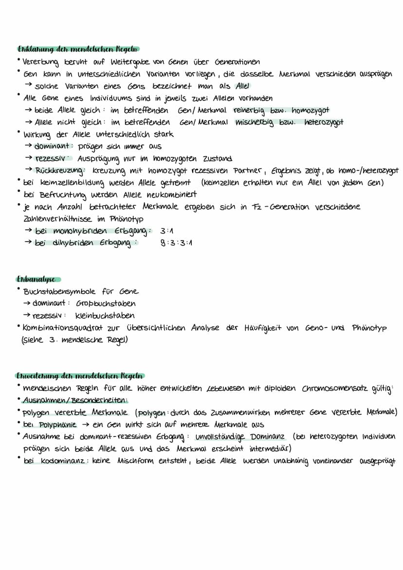 S 164/165
Die mendelschen Regeln
Johann Gregor Mendel
1866 veröffentlichte er seine Ergebnisse zu Kreuzungsexperimente an Gartenerbsen
↳Vers