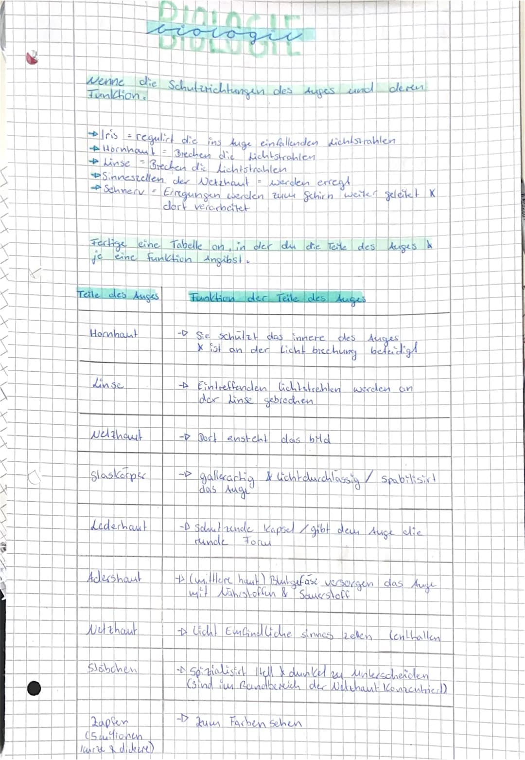 I
Wenne
Funktion.
* Iris = regulirt die ins Auge einfallenden dichtstrahlen
A Hornhaut = Brechen die dichtstrahlen.
→ Linse = Brechen die di
