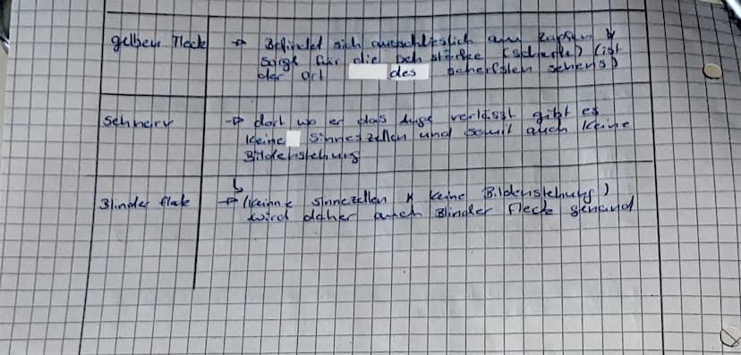 I
Wenne
Funktion.
* Iris = regulirt die ins Auge einfallenden dichtstrahlen
A Hornhaut = Brechen die dichtstrahlen.
→ Linse = Brechen die di
