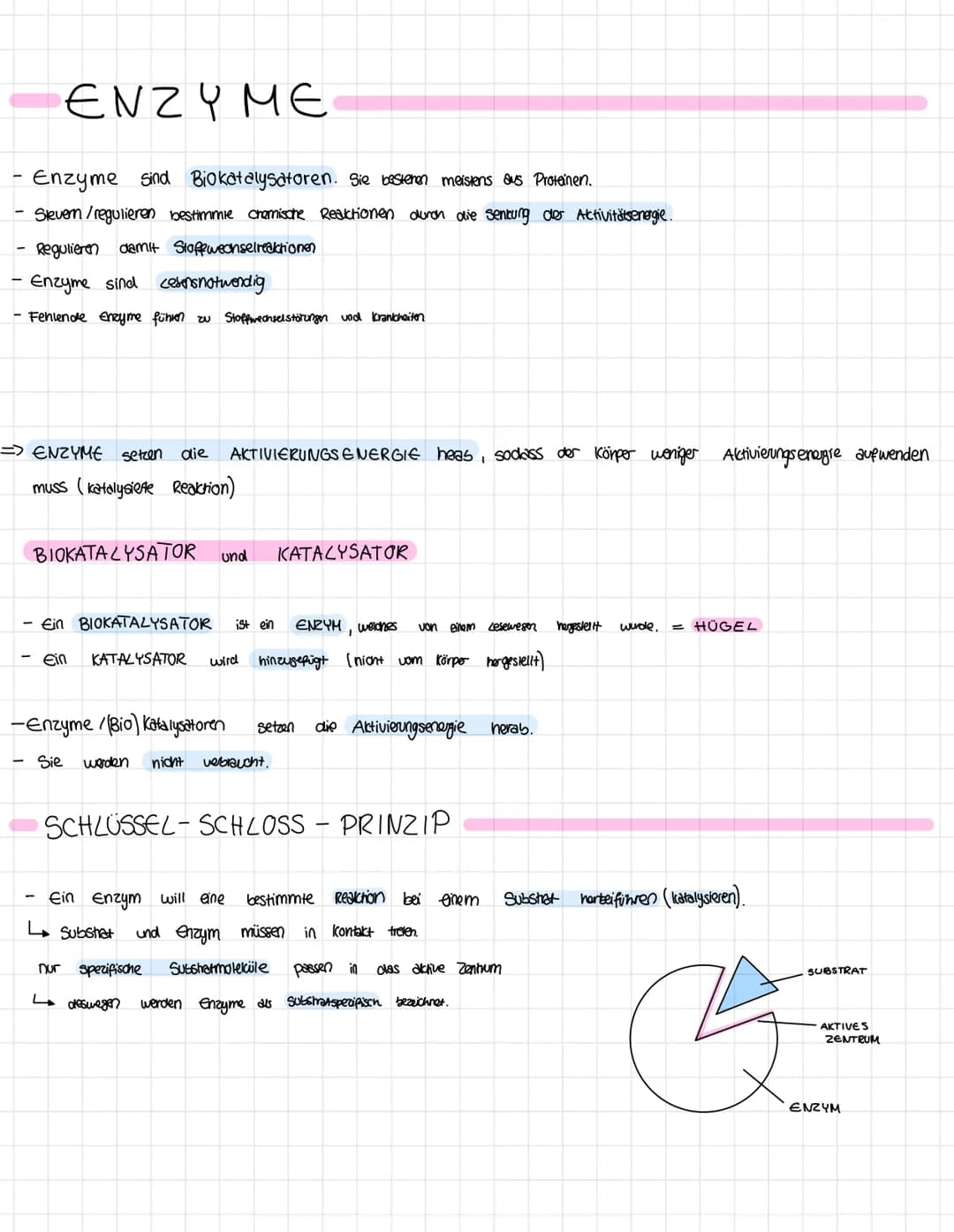 Themen der Klausur
Enzymatik
Informationen zur Klausur
● Proteinaufbau
Struktur und Funktionen von Enzymen
Enzyme als Biokatalysatoren
●
Sch